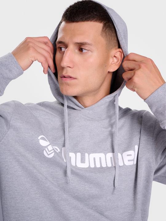 Actual product image hummel HMLGO 2.0 LOGO HOODIE (XL)
