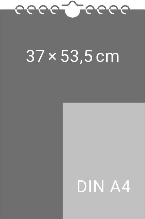 Actual product image Werner Kalender 2026 (Hardcover, German)