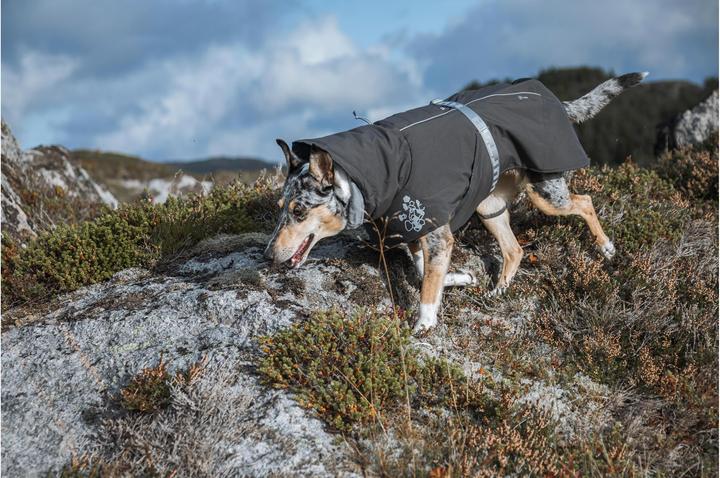 Actual product image Hurtta Winter Coat Extreme Warmer 2 (65, L, Dog coat)