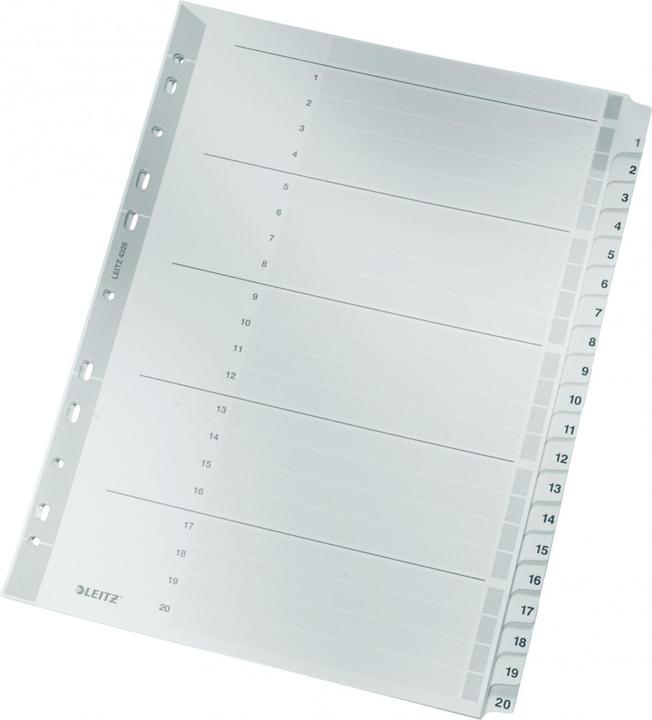 Leitz Register Karton