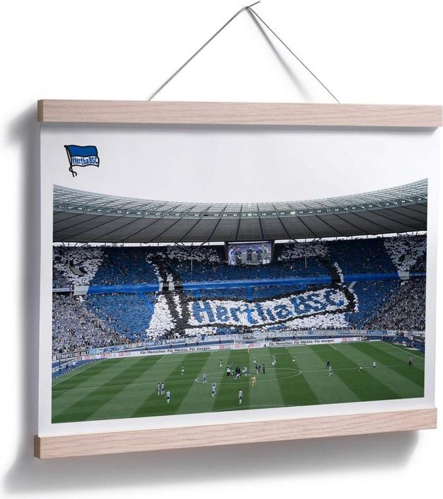 Actual product image Hertha BSC Start of the game in the stadium (80 x 100 cm)