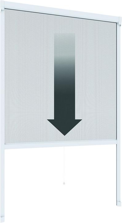 160 x 160 cm
