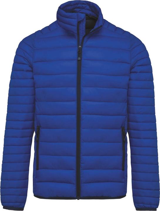 Light royal blue