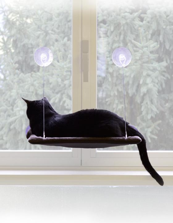 Actual product image United Pets Cat View (Cat)
