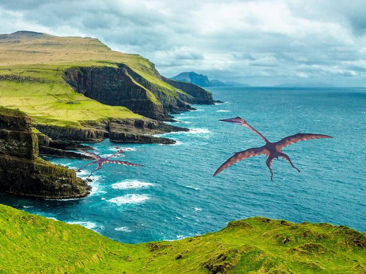Actual product image Revell RC Mini Dino Quetzalcoatlus
