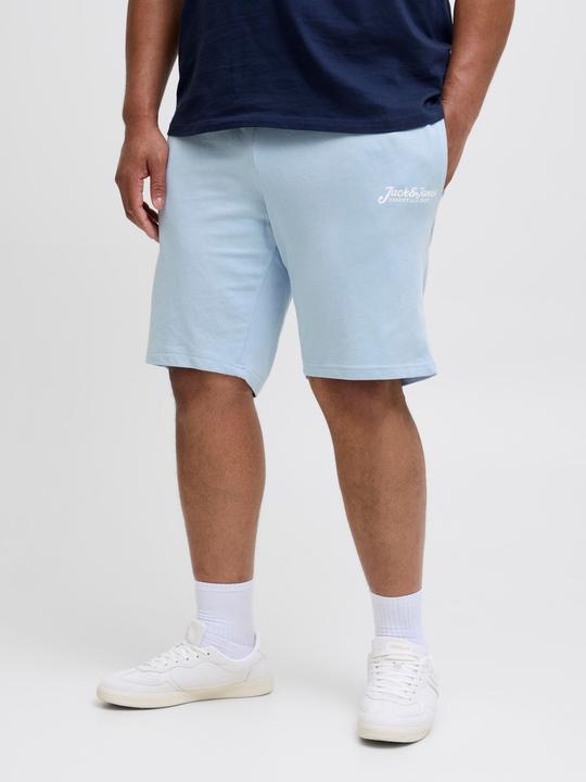 Produktbild Jack & Jones Plus Size Regular Fit Regular Fit Shorts Regular Fit Shorts (44)