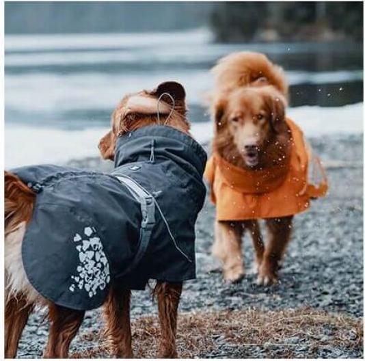 Actual product image Hurtta Monsoon Coat bilberry 70 (70, Dog coat)