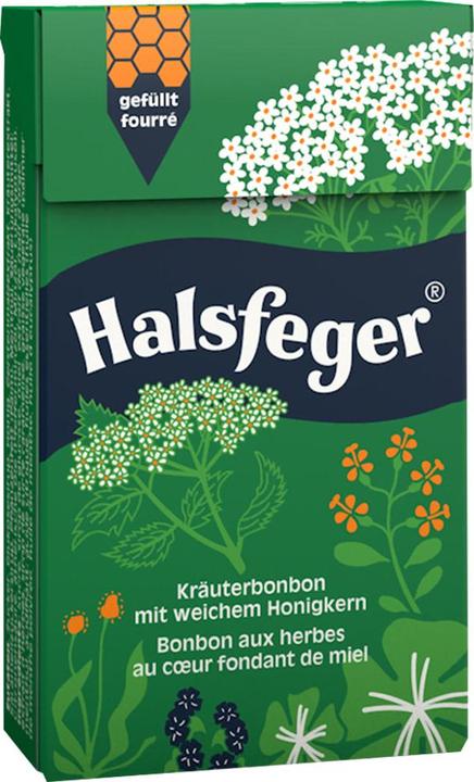 Actual product image Halsfeger Herbal candy pastilles (1 pcs., 40 g)
