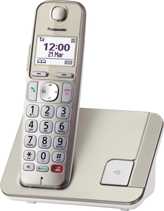 Actual product image Panasonic KX-TGE250GN Single champagne