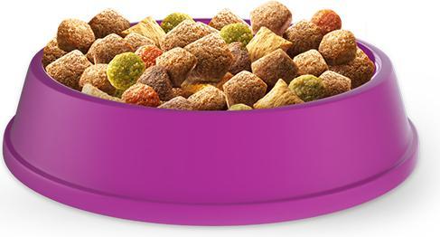 Actual product image Whiskas Dry cat food (Senior, 1 pcs., 14000 g)