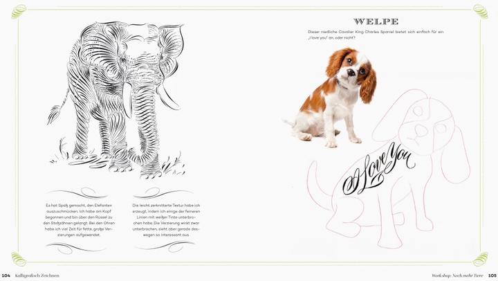 Actual product image Kalligrafisch Zeichnen (German, Shin Loong, 2019)