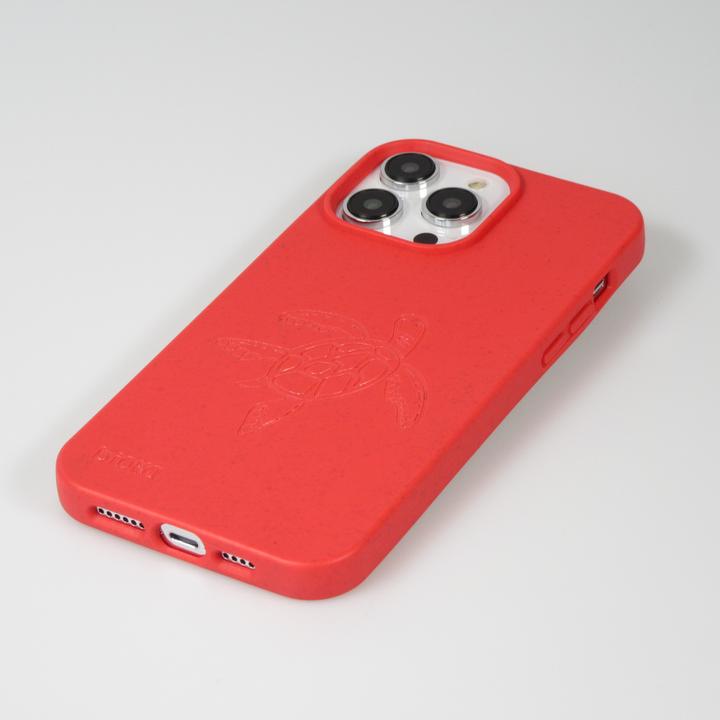 Immagine prodotto Bioka Cocco biodegradabile e compostabile Eco-Friendly Esprit de la tortue (Apple iPhone 14 Pro Max)