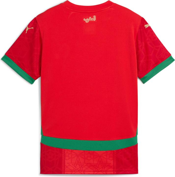 Image du produit Puma FRMF Home Jersey Replica Jr (176)