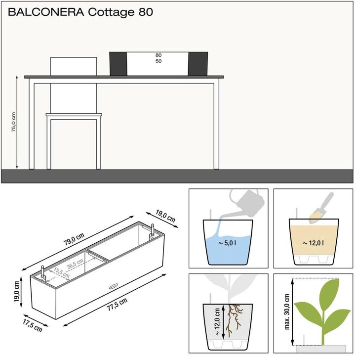 Immagine prodotto Lechuza Balconera Cottage (19 cm)