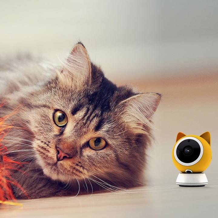 Produktbild Petoneer Smart Pet Cam