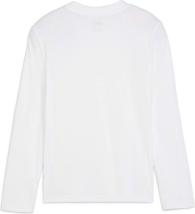 Actual product image Puma teamGOAL Baselayer Tee LS Jr. (140)
