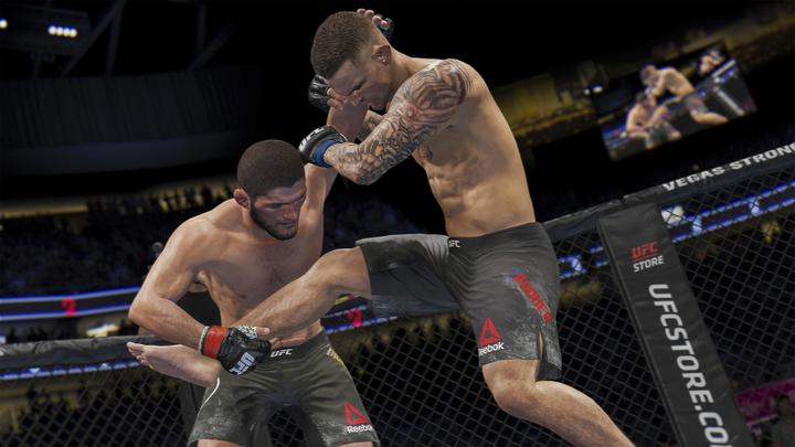 Image du produit EA Games UFC 4 1055615 PlayStation 4 (PS4, EN)