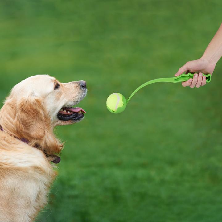 Produktbild Relaxdays 12-tlg. Ballschleuder-Set (Ballspielzeug Hund)