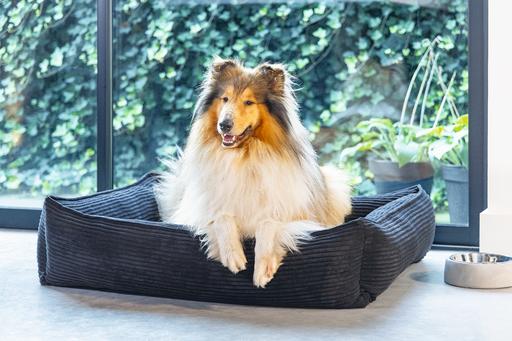 Produktbild Designed by Lotte Ribbed (Hund)