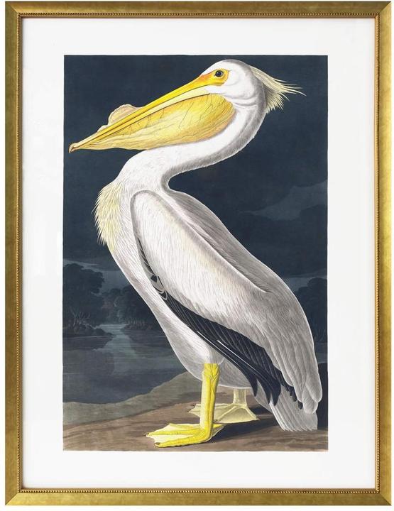 Produktbild Trenddeko Pelikan (40 x 50 cm)