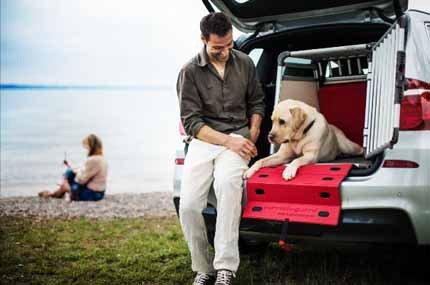 Productafbeelding Dogbox Scratch-Guard (Hond)