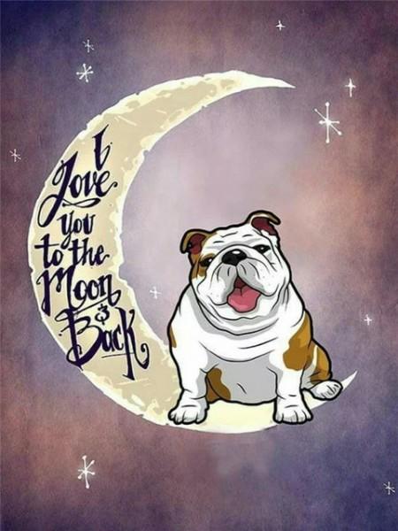 Image du produit Mona Lisa Touch Diamond Painting Set DP2280262 Moon Dog 50 x 40 cm
