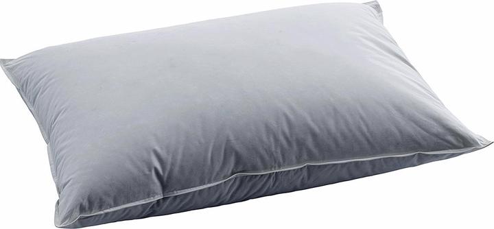 Actual product image Swiss Dream by billerbeck BSC 80 Soft Pillow (50 x 70 cm)