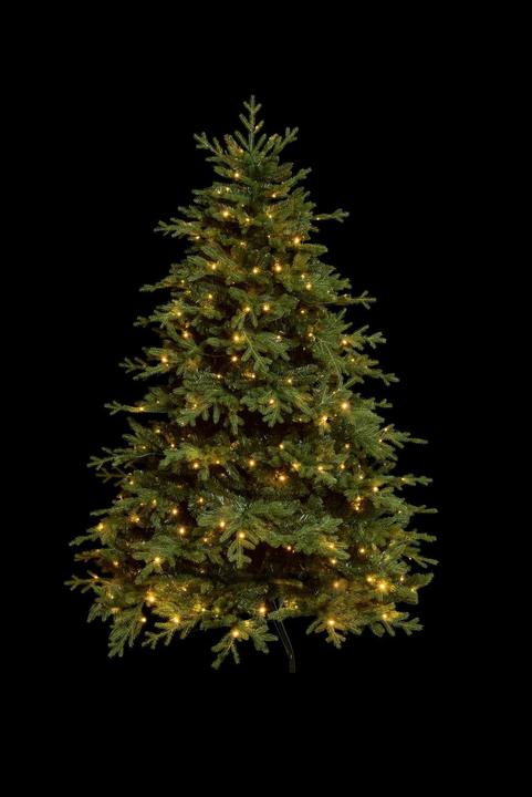STT Weihnachtsbaum (150 cm)