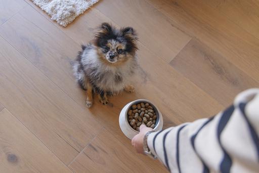 Immagine prodotto Designed by Lotte Ciotola per cani Meis (0.16 l)
