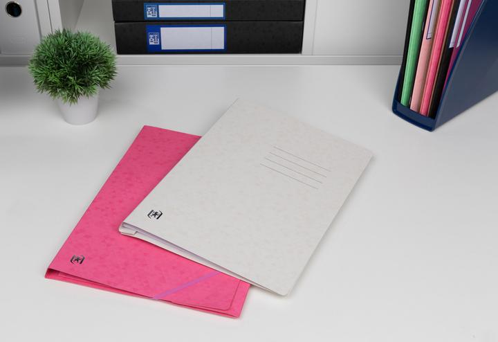 Produktbild Oxford Schnellhefter TOP FILE+, A4 (A4, 1 x)
