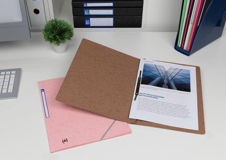 Produktbild Oxford Schnellhefter TOP FILE+, A4 (A4, 1 x)