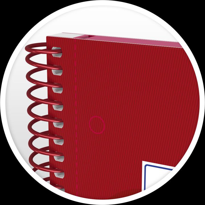 Actual product image Oxford European Book (A4, Checked, Hardcover)