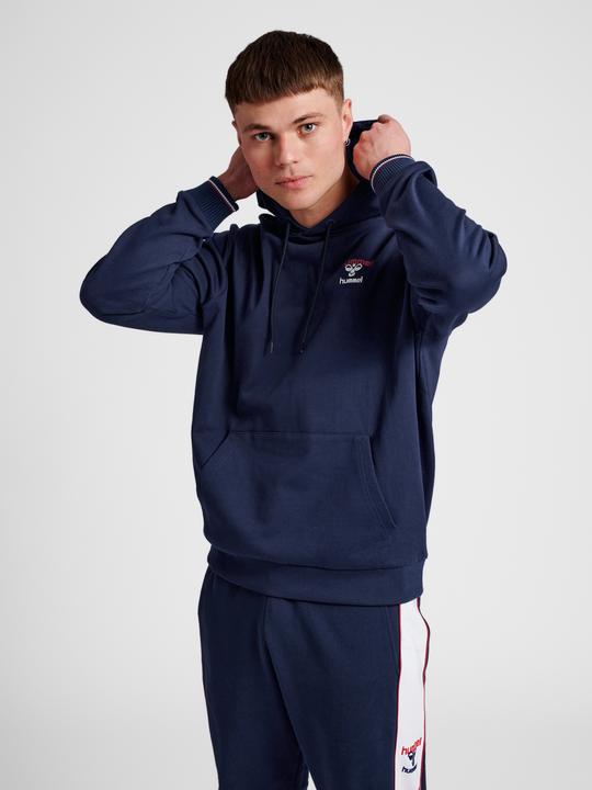 Actual product image hummel Ic Dayton Hoodie (XS)