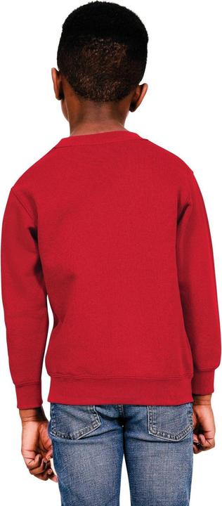 Image du produit Universal Textiles - Sweat - Enfant (152, 158)