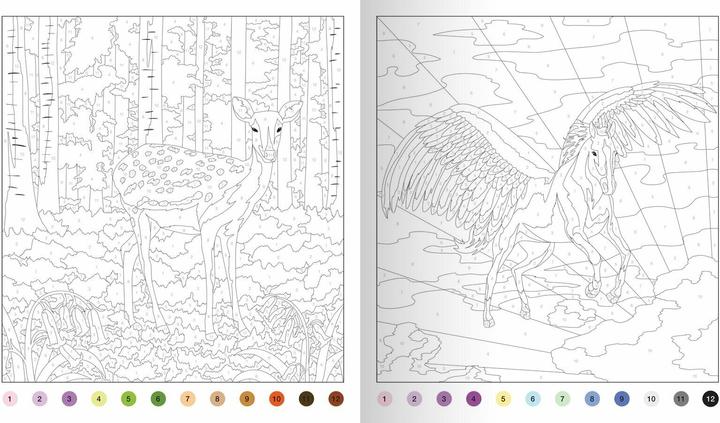 Actual product image Wonderful painting by numbers - Land of magic