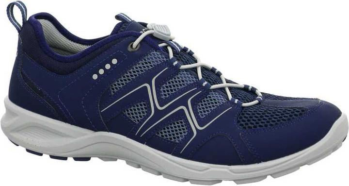 Ecco Terracruise Shoes