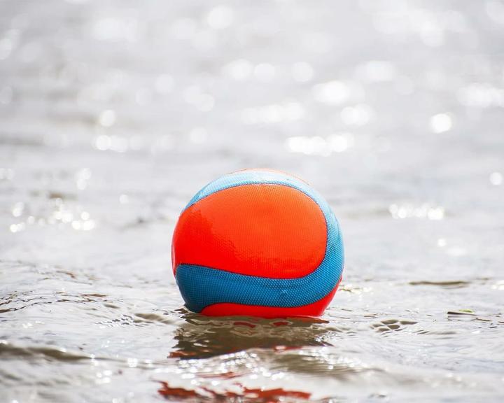 Actual product image Chuckit! ! Amphibious Mega Ball (Dog chew toy)