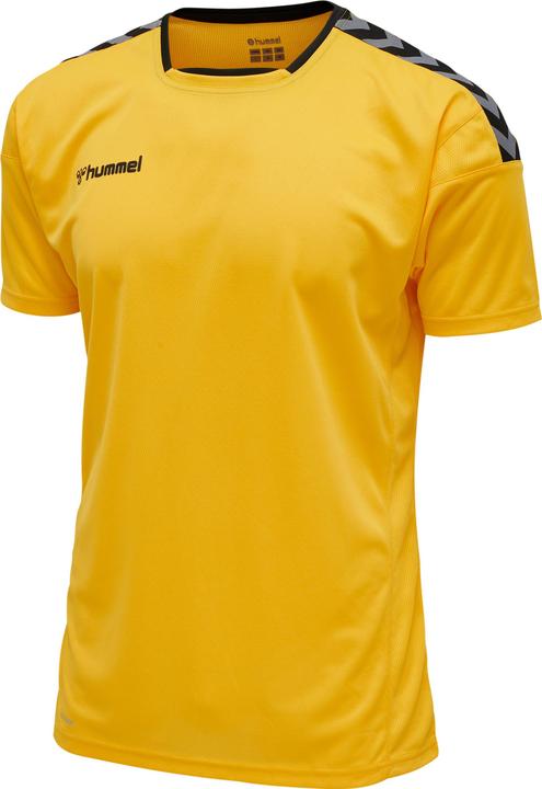 hummel Authentic Poly Jersey S/S (XL)