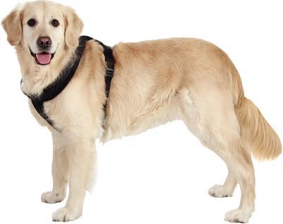Produktbild Karlie Art Sportiv Plus Geschirr Cross (90, Hund, Spazieren)