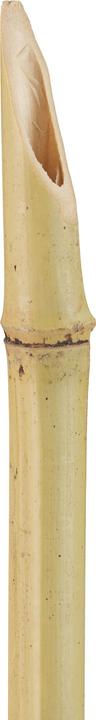 Actual product image Relaxdays 10x Garden Torch