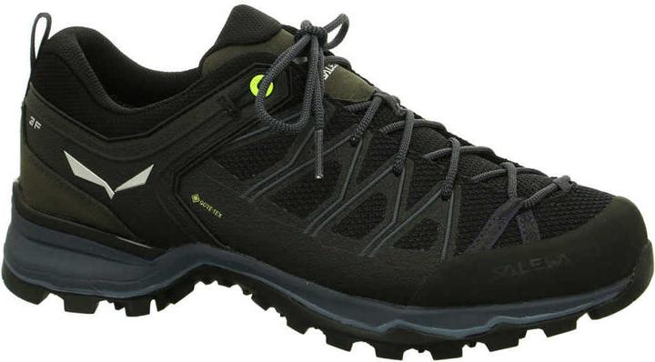Produktbild Salewa MTN Trainer Lite GTX Schuhe (48.5)
