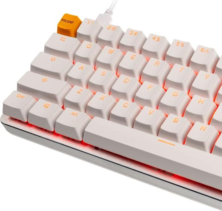 Actual product image Glorious PC Gaming Race White Ice (US, Cable)