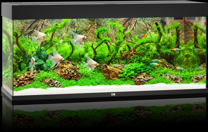 Produktbild Juwel Aquarium Rio (240 l)