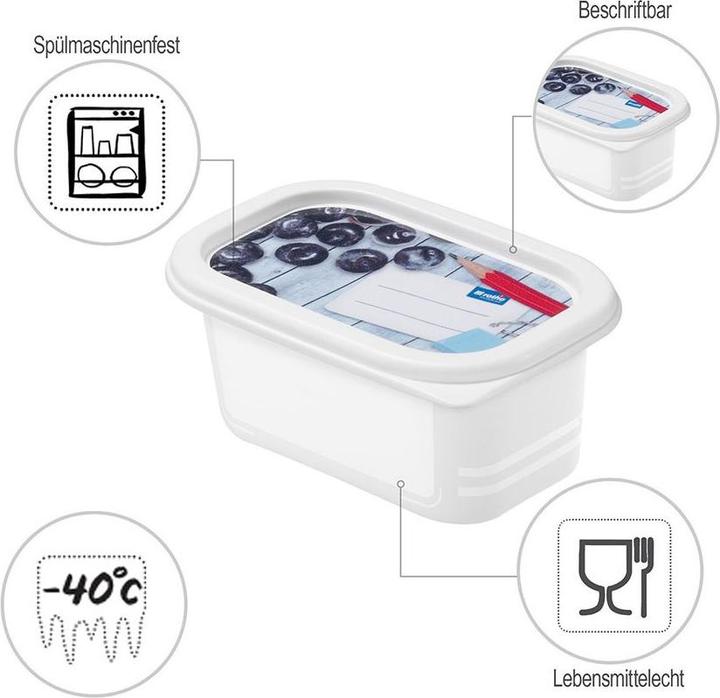 Produktbild Rotho Gefrierdosen Domino (0.20 l)