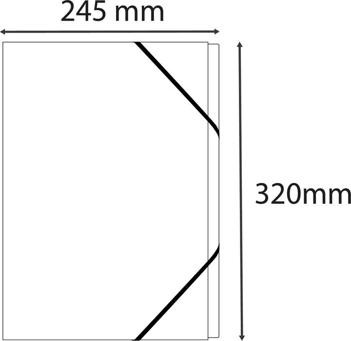 Image du produit Exacompta Trieurs (A4, 25 x)