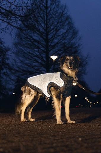 Produktbild Beeztees Allia (44, Hundemantel)