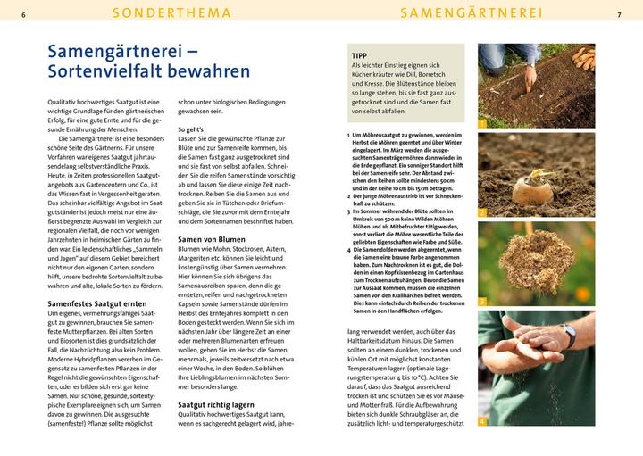 Produktbild Kosmos Berg: Aussaattage 2025 (Deutsch, Peter Berg, 2024)