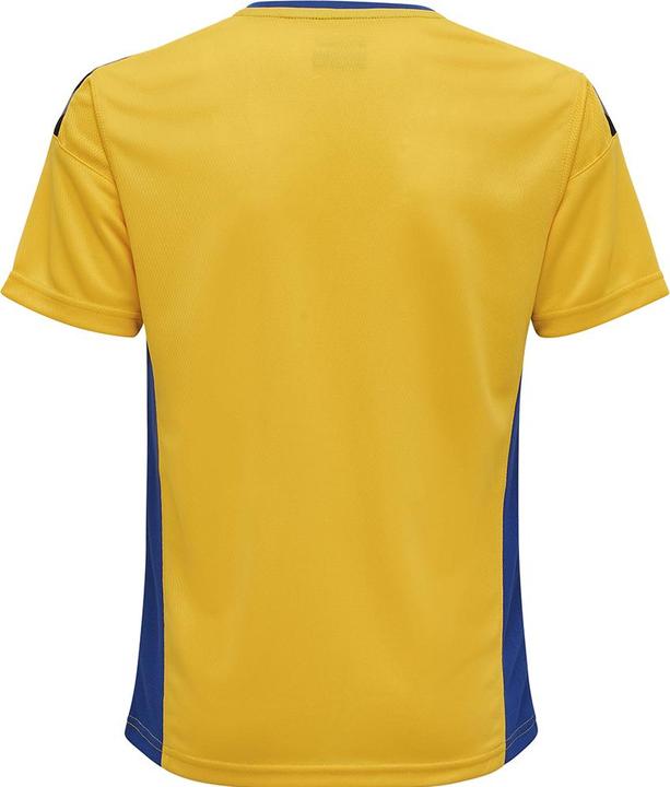 Actual product image hummel Authentic Kids Poly Jersey S/S (164)