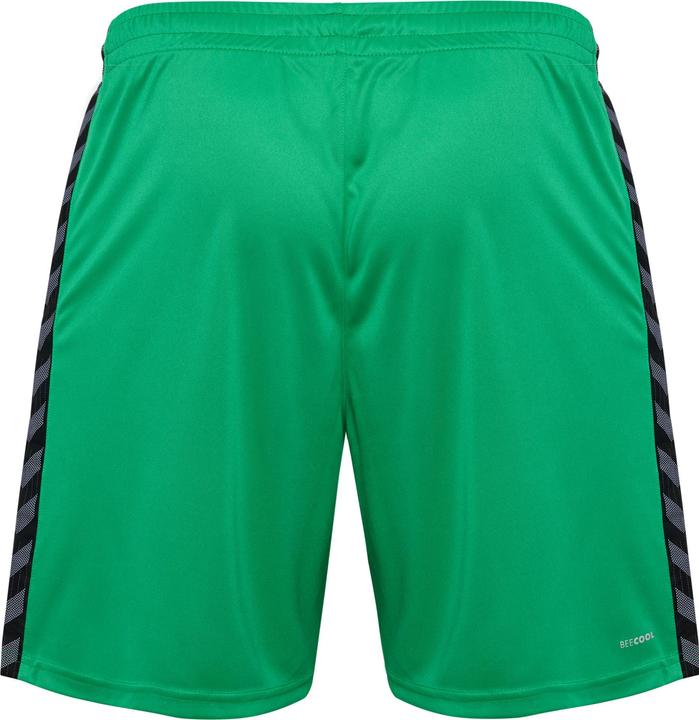 Image du produit hummel Hmlauthentic Pl Shorts (S)