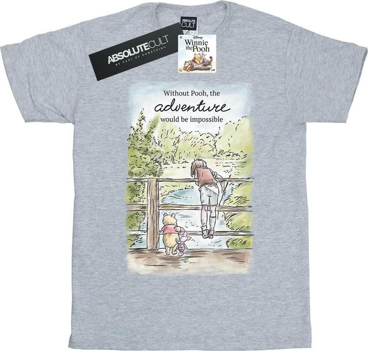 Actual product image Disney Womens/Ladies Winnie The Pooh Adventure Cotton Boyfriend T-Shirt (XL)